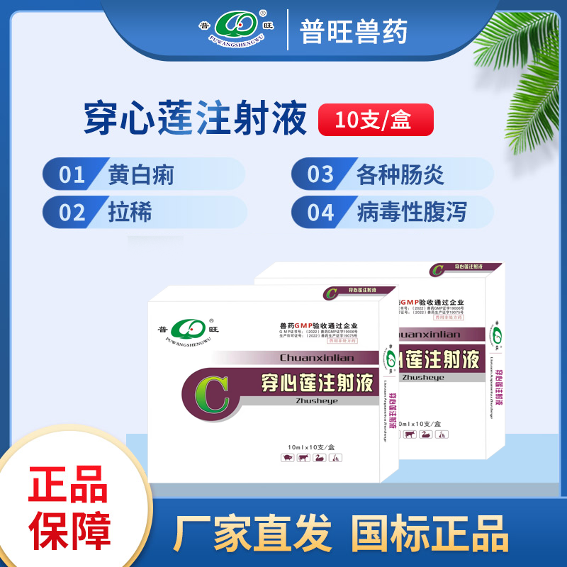 穿心蓮注射液 獸用清熱解毒 獸藥廠家批發