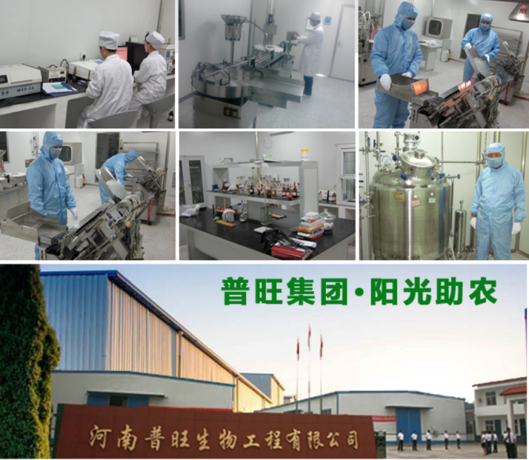 普旺獸藥廠家平原新區生產基地